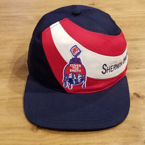 Vintage Sherwin Williams Hat Snapback NOS Striped Cover The Earth Wave